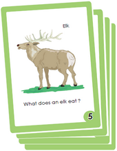 what do animals eat / diets. Science flash cards