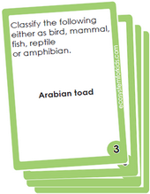 classification under categories like reptiles, bird, fish, mammal, reptile and more. Free flash cards. 