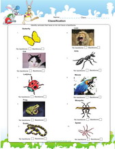 classify as vertebrates and invertebrates worksheet for kids pdf