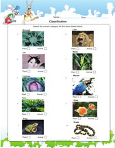 classify under plants or animals worksheet for 2nd grade science review and practice. pdf printable