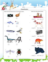 classify as living and nonliving things worksheet pdf for kids