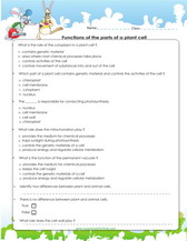 functions of parts of a cell worksheet for 4th grade