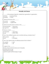 Learn about genes, heredity, DNA, learn about traits, identify the area in a cell where genes are located. 6th grade science worksheet for review.