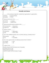 grade 6 science worksheets