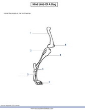 Grade 3 science worksheets PDF