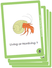 4th grade science cards