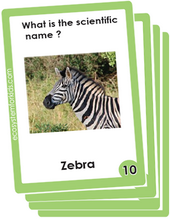 scientific name of objects flash cards.