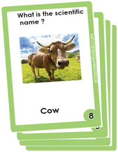 scientific names flash cards