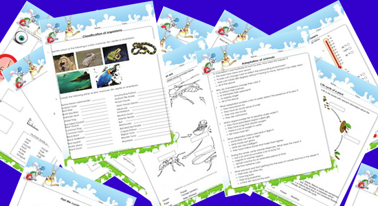 4 to 6th grade worksheet downloads