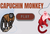 Capuchin monkey game quiz online