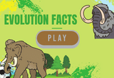 Game online on evolution.