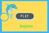 Dolphins Game Quiz Online