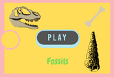 Fossils Game Quiz Online