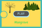 Mangrove game quiz online