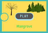 Mangrove Game Quiz Online