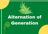 Alternation of generations life cycle game online