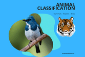 classification of animals kingdom chart