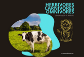 Omnivores Carnivores Herbivores Game