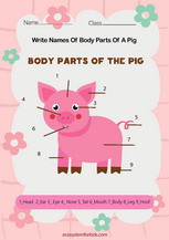 Label parts of a pig worksheet pdf