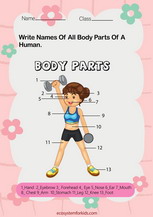 Label human body parts worksheet pdf