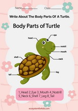 Label parts of a turtle worksheet pdf