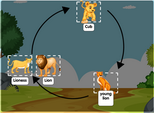Life cycle of a lion diagram
