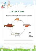 Salmon life cycle worksheet pdf