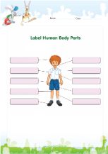 human body parts worksheet for kids