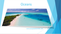 Identifying oceans powerpoint lesson for kids