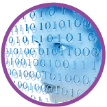 Data Interpretation quiz for laboratory activities for 5th grades