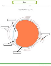 learn about the eye, worksheet on labelling parts of the eye.