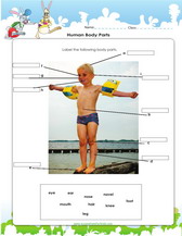 label human body parts worksheet pdf for kids