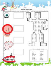 learn about different human body parts worksheet pdf