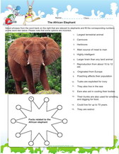 learn about animals like the elephant worksheet for kids pdf
