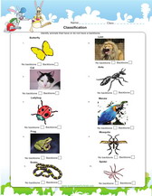Grade 2 science worksheets PDF