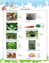 Fruits and veggies worksheet pdf