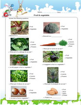 fruit and vegetables worksheet