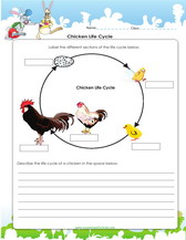 4th grade science worksheets, PDF Printable