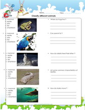 classification of animals worksheet