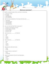 Characteristics of mammals 5th grade worksheet pdf
