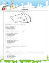 ecosystems 5th grade worksheet